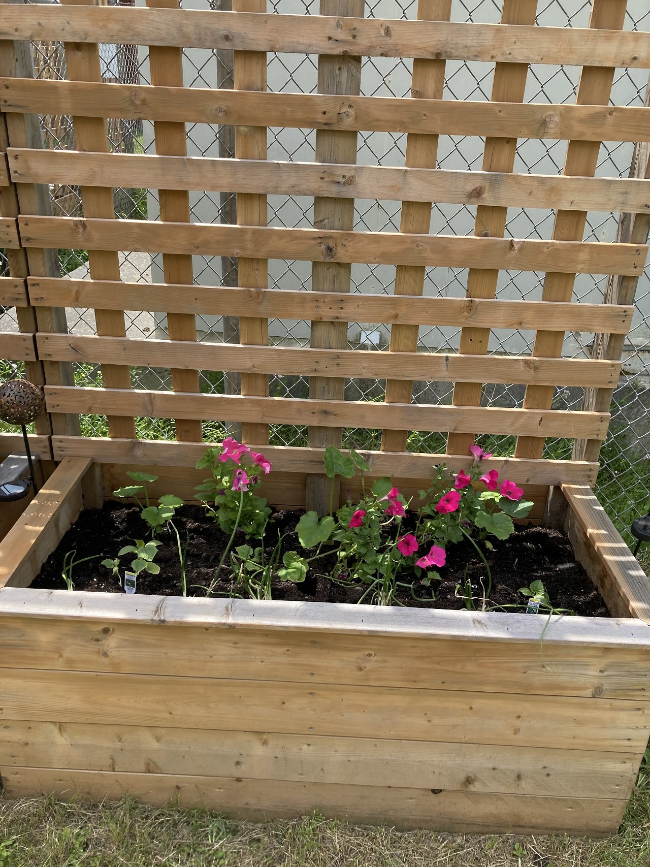 Outdoor flower bed